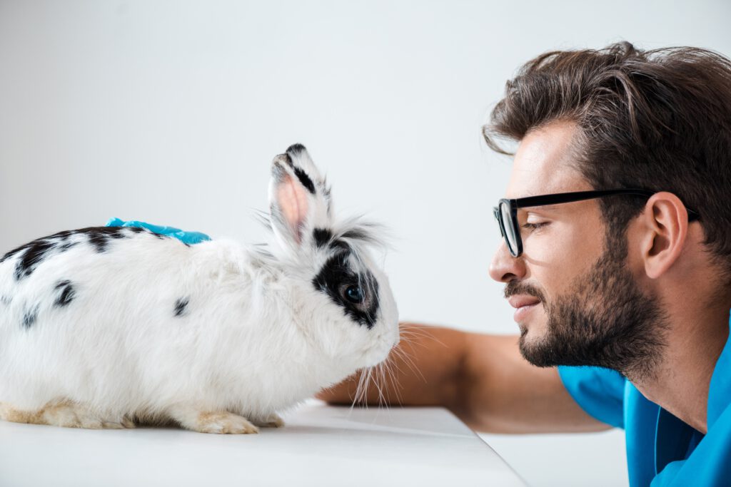 side view of young, positive veterinarian looking at cute fluffy rabbit