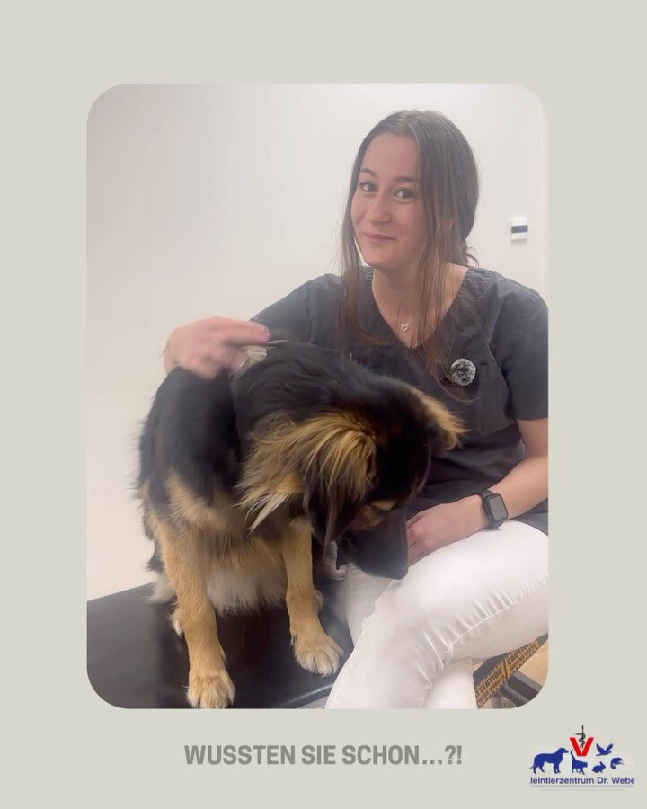 Instagram post from kleintierzentrum_dr.weber. This post is in position 4.