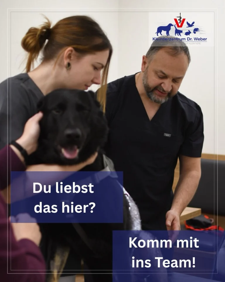 Instagram post from kleintierzentrum_dr.weber. This post is in position 2.