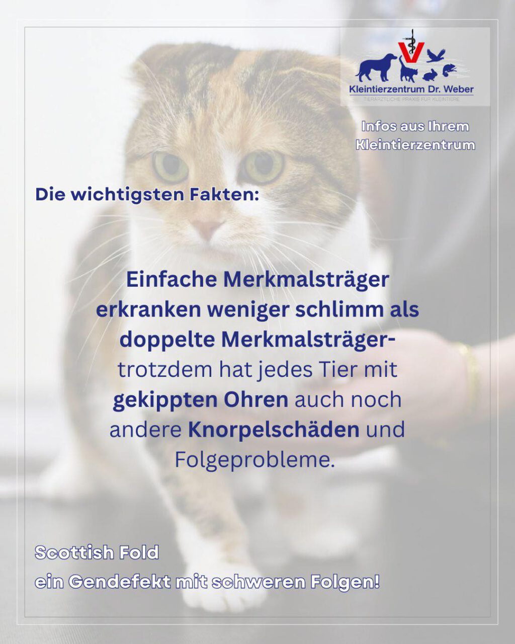 Instagram post from kleintierzentrum_dr.weber. This post is in position 8.