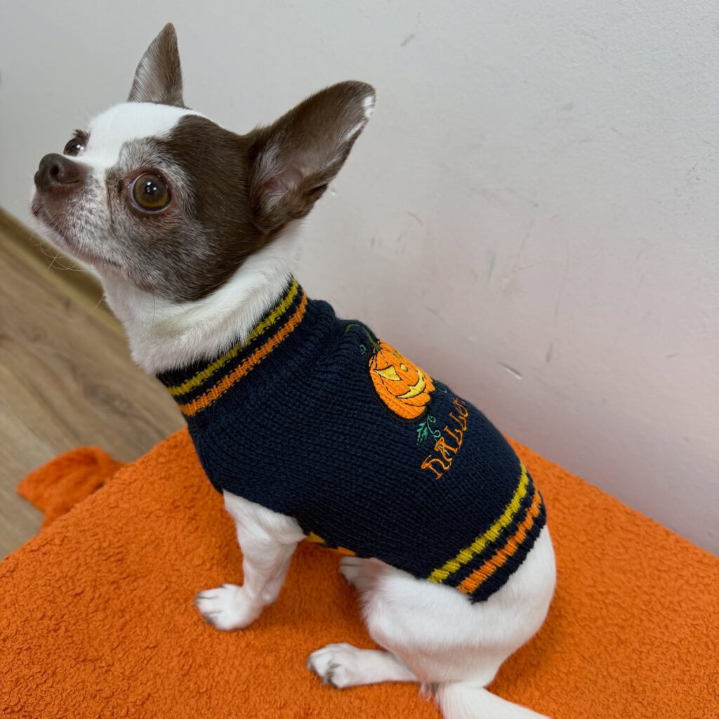 Instagram post from kleintierzentrum_dr.weber. This post is in position 1.