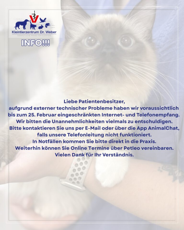 Instagram post from kleintierzentrum_dr.weber. This post is in position 2.