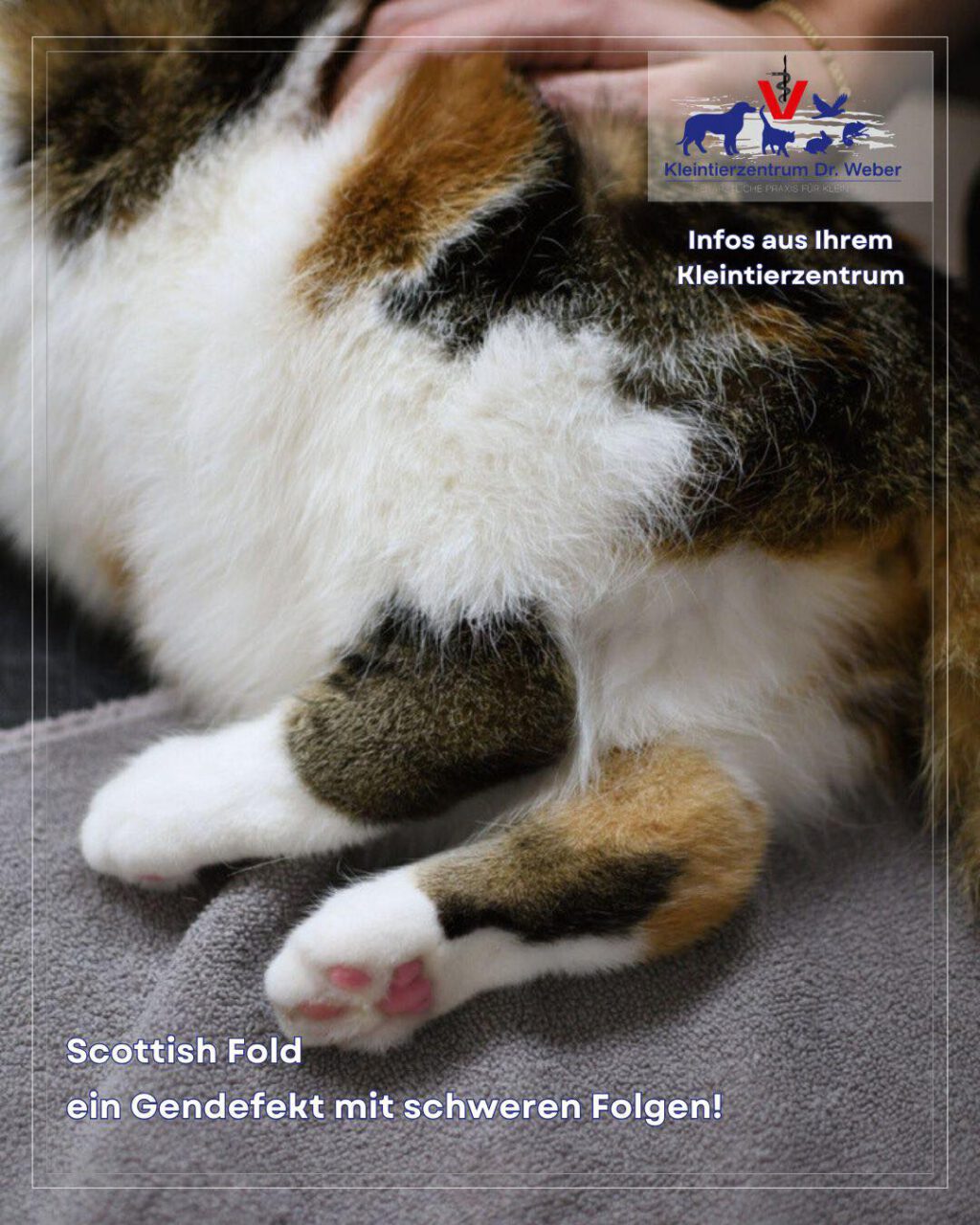 Instagram post from kleintierzentrum_dr.weber. This post is in position 3.