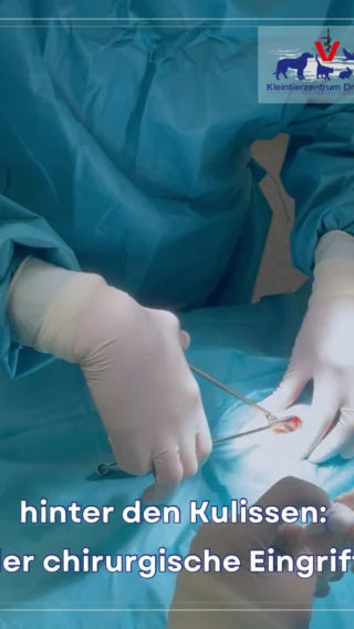 Instagram post from kleintierzentrum_dr.weber. This post is in position 1.