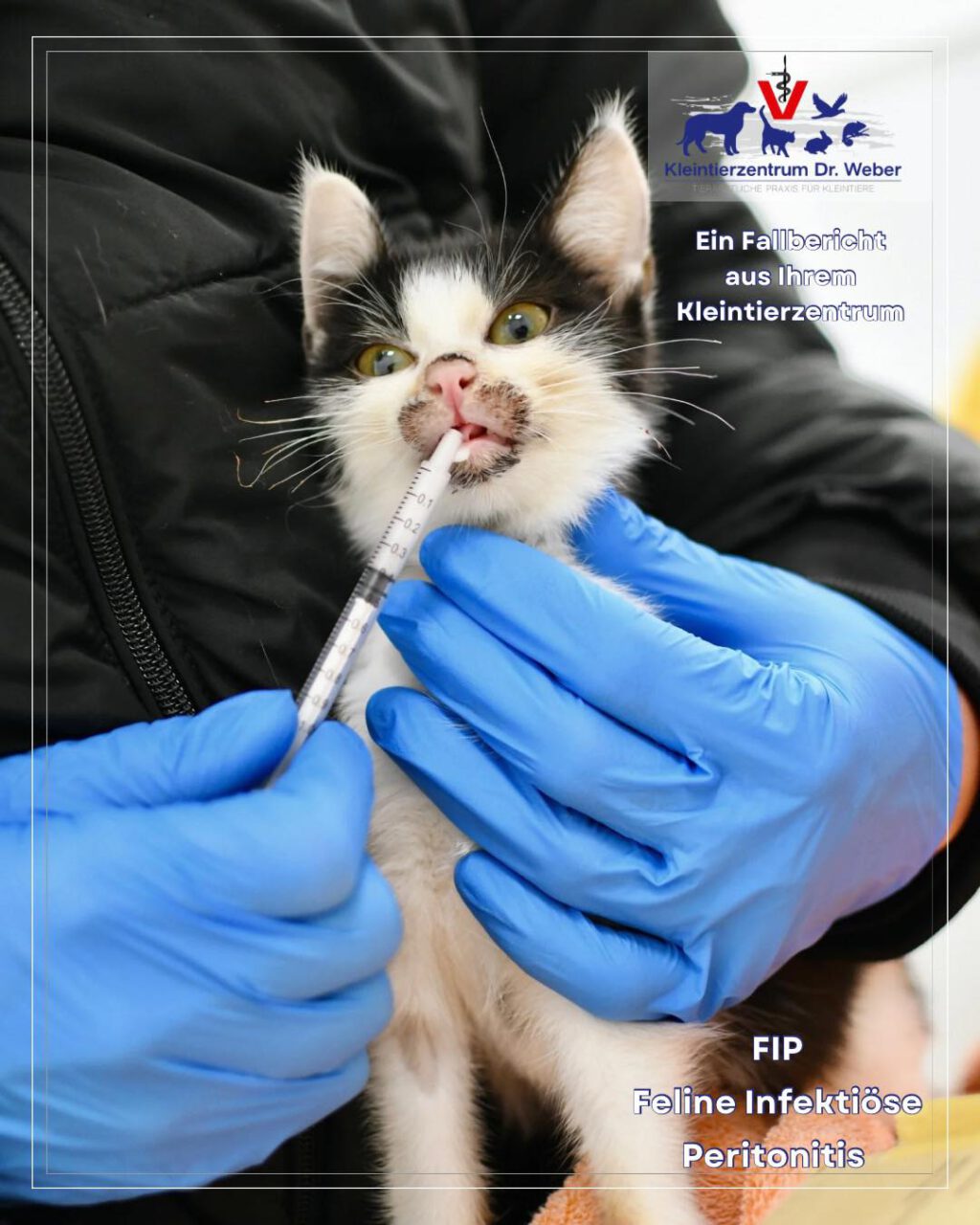 Instagram post from kleintierzentrum_dr.weber. This post is in position 1.