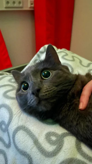 Instagram post from kleintierzentrum_dr.weber. This post is in position 1.