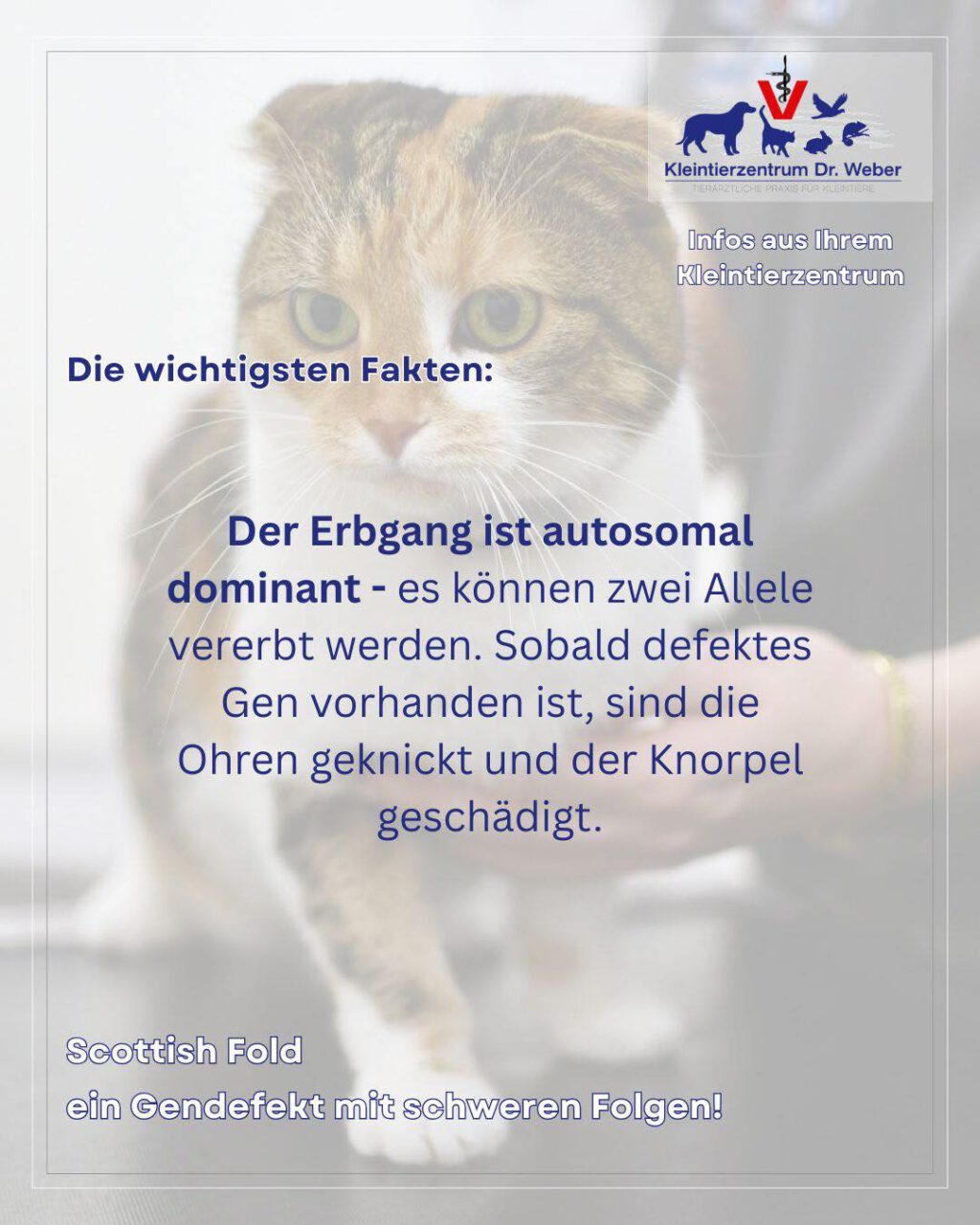 Instagram post from kleintierzentrum_dr.weber. This post is in position 7.