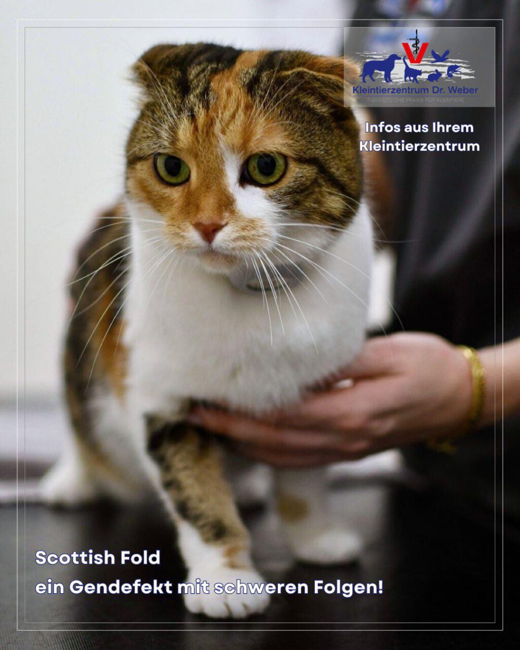 Instagram post from kleintierzentrum_dr.weber. This post is in position 1.