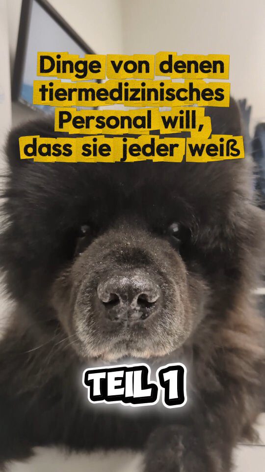 Instagram post from kleintierzentrum_dr.weber. This post is in position 1.