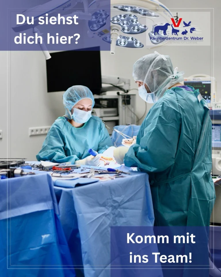 Instagram post from kleintierzentrum_dr.weber. This post is in position 0.
