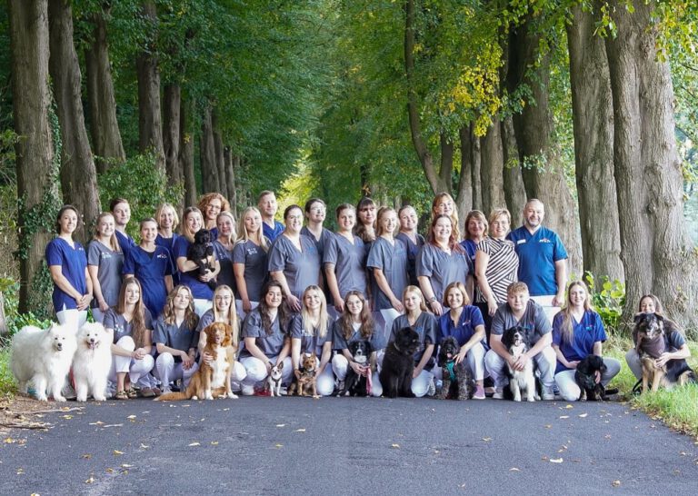 Instagram post from kleintierzentrum_dr.weber. This post is in position 2.