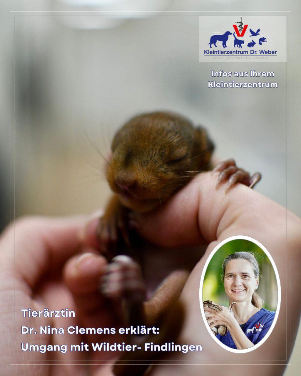 Instagram post from kleintierzentrum_dr.weber. This post is in position 1.