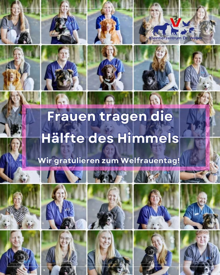 Instagram post from kleintierzentrum_dr.weber. This post is in position 5.