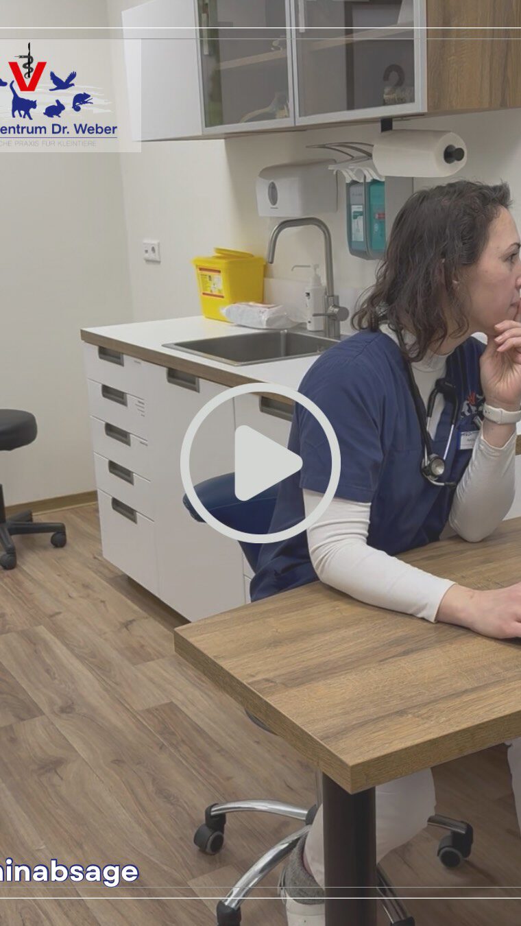 Instagram post from kleintierzentrum_dr.weber. This post is in position 1.