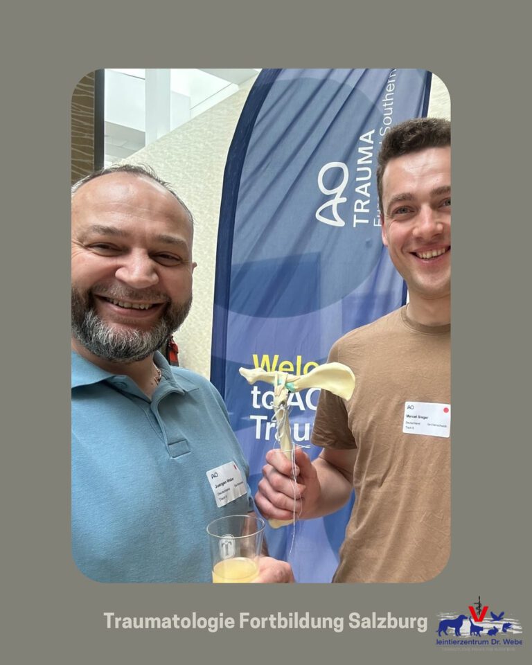 Instagram post from kleintierzentrum_dr.weber. This post is in position 2.