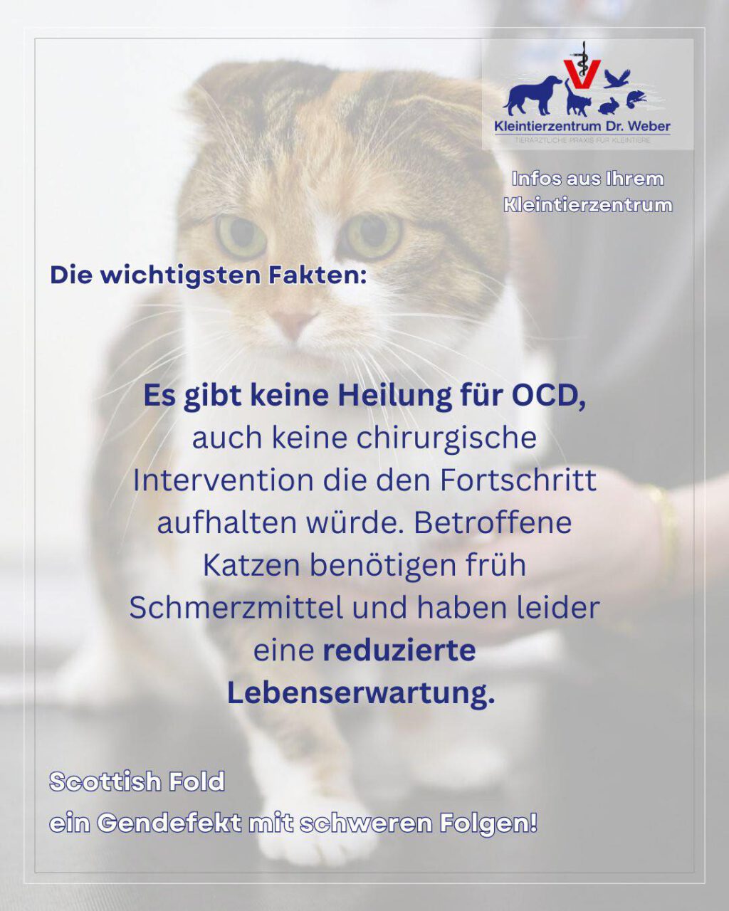 Instagram post from kleintierzentrum_dr.weber. This post is in position 9.