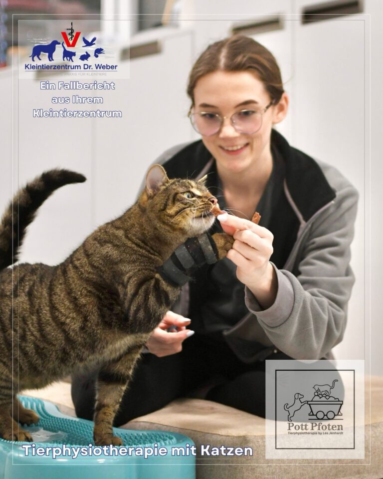 Instagram post from kleintierzentrum_dr.weber. This post is in position 1.