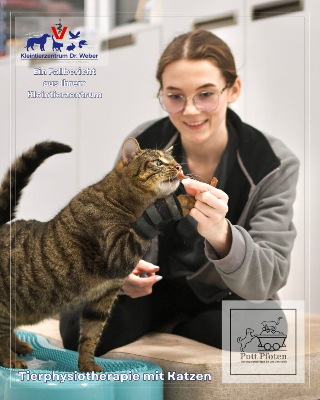 Instagram post from kleintierzentrum_dr.weber. This post is in position 0.