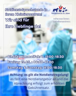 Instagram post from kleintierzentrum_dr.weber. This post is in position 1.