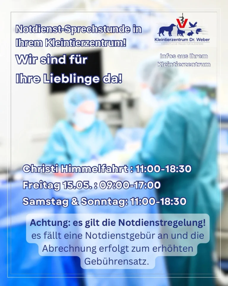 Instagram post from kleintierzentrum_dr.weber. This post is in position 0.