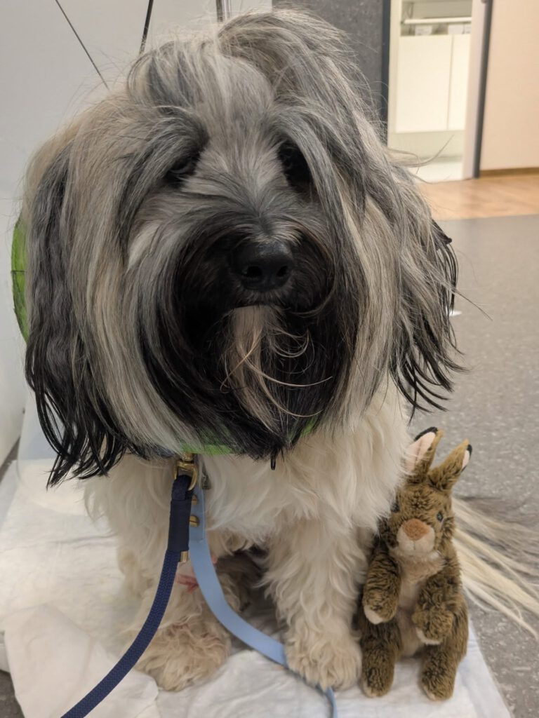 Instagram post from kleintierzentrum_dr.weber. This post is in position 6.