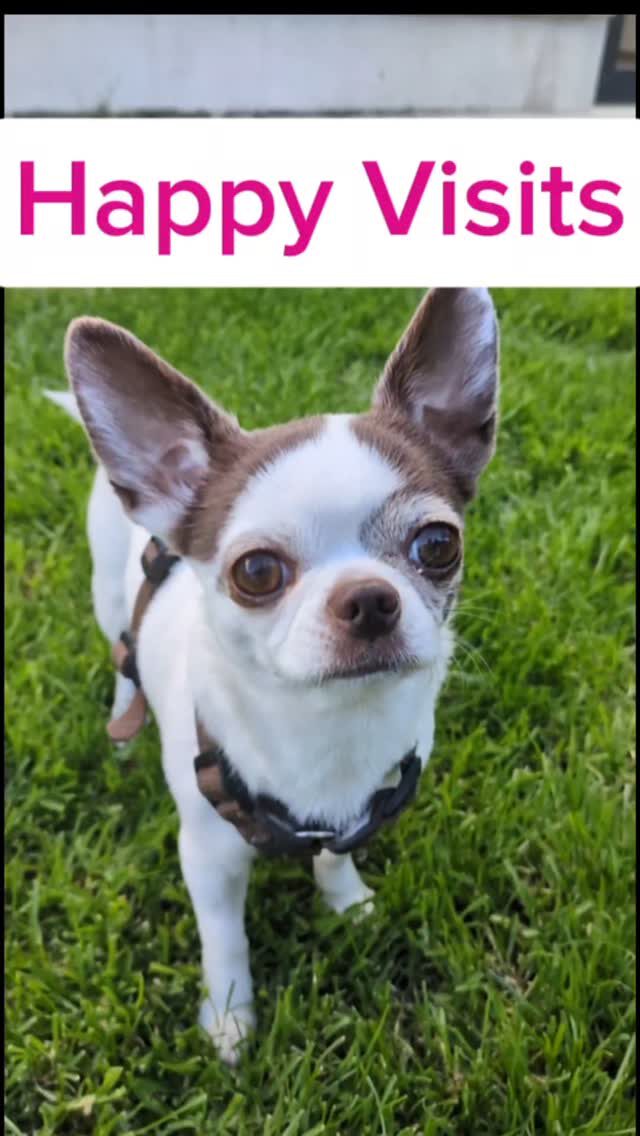 Instagram post from kleintierzentrum_dr.weber. This post is in position 9.