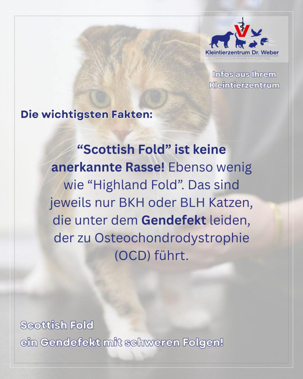 Instagram post from kleintierzentrum_dr.weber. This post is in position 5.