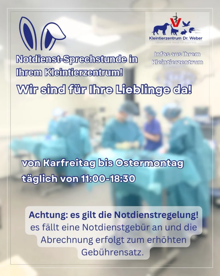 Instagram post from kleintierzentrum_dr.weber. This post is in position 0.