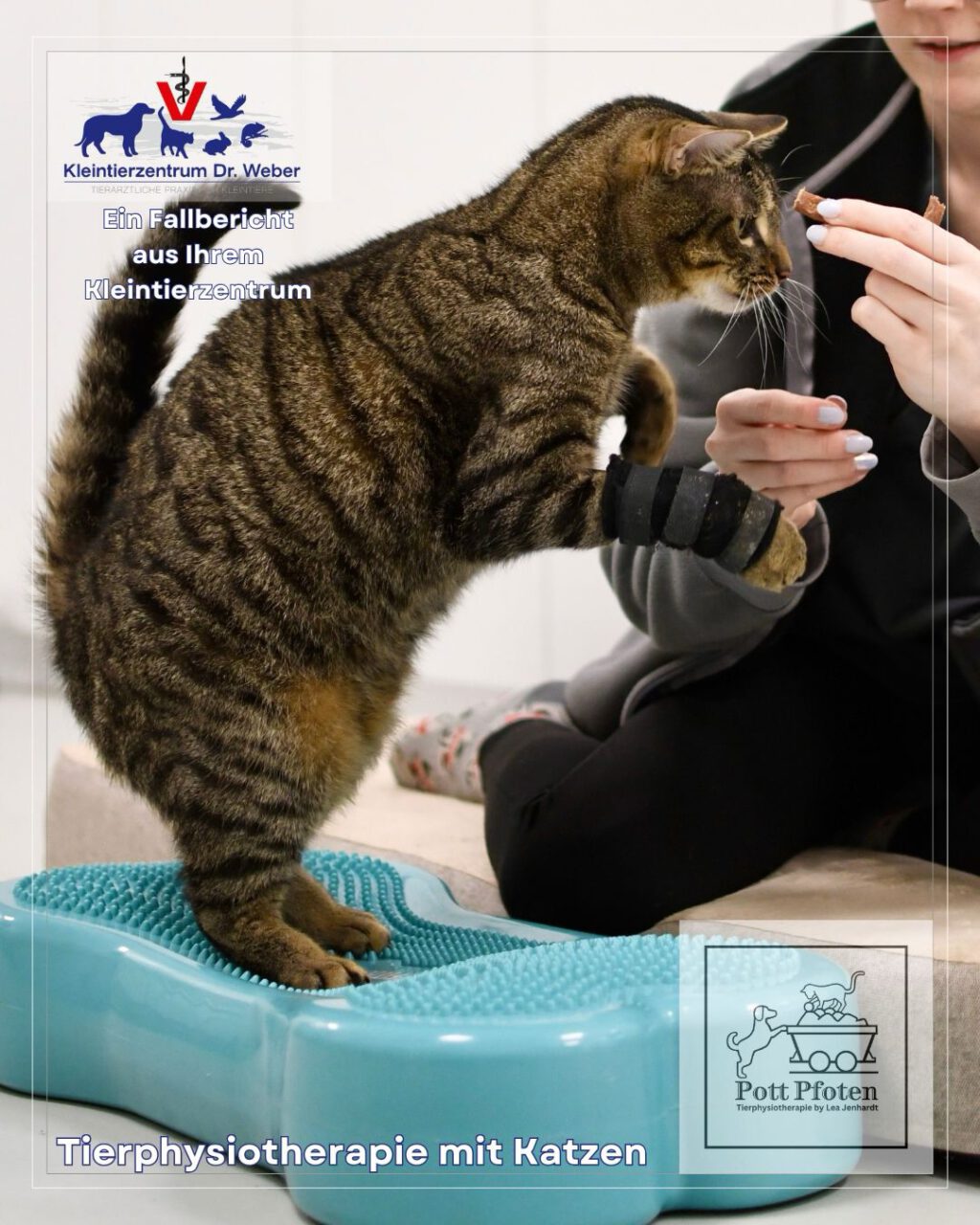 Instagram post from kleintierzentrum_dr.weber. This post is in position 1.