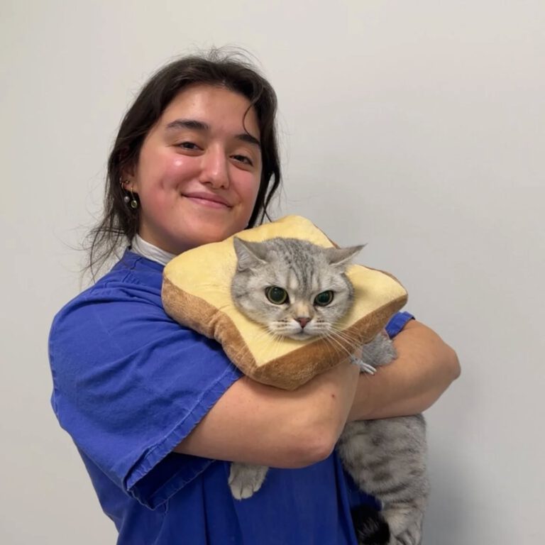 Instagram post from kleintierzentrum_dr.weber. This post is in position 1.