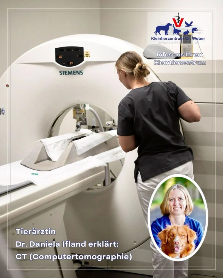 Instagram post from kleintierzentrum_dr.weber. This post is in position 1.