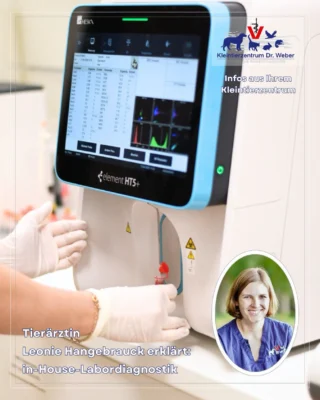 Instagram post from kleintierzentrum_dr.weber. This post is in position 1.