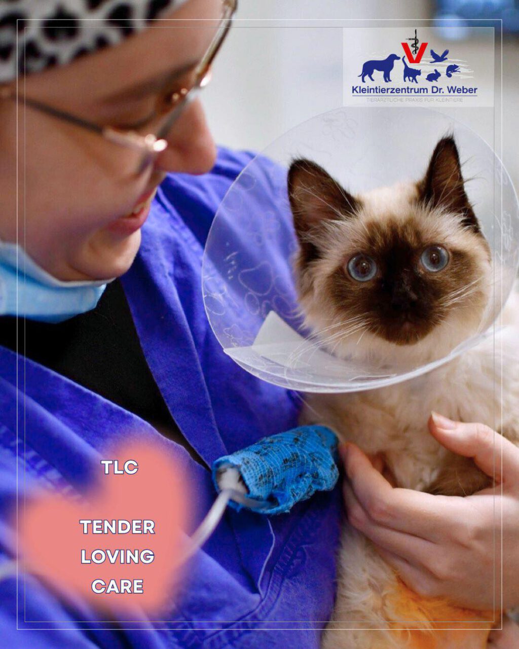 Instagram post from kleintierzentrum_dr.weber. This post is in position 2.