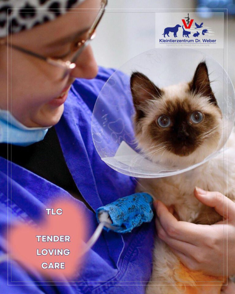 Instagram post from kleintierzentrum_dr.weber. This post is in position 3.