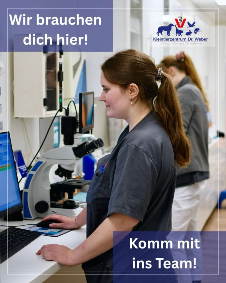 Instagram post from kleintierzentrum_dr.weber. This post is in position 1.