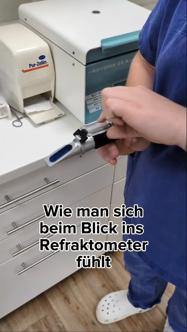 Instagram post from kleintierzentrum_dr.weber. This post is in position 0.