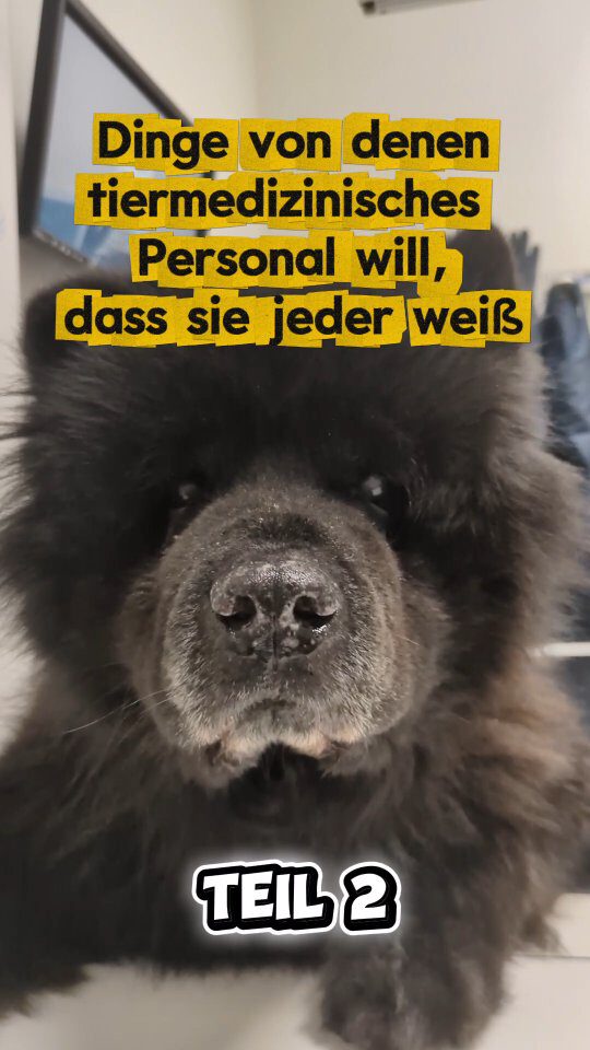 Instagram post from kleintierzentrum_dr.weber. This post is in position 1.